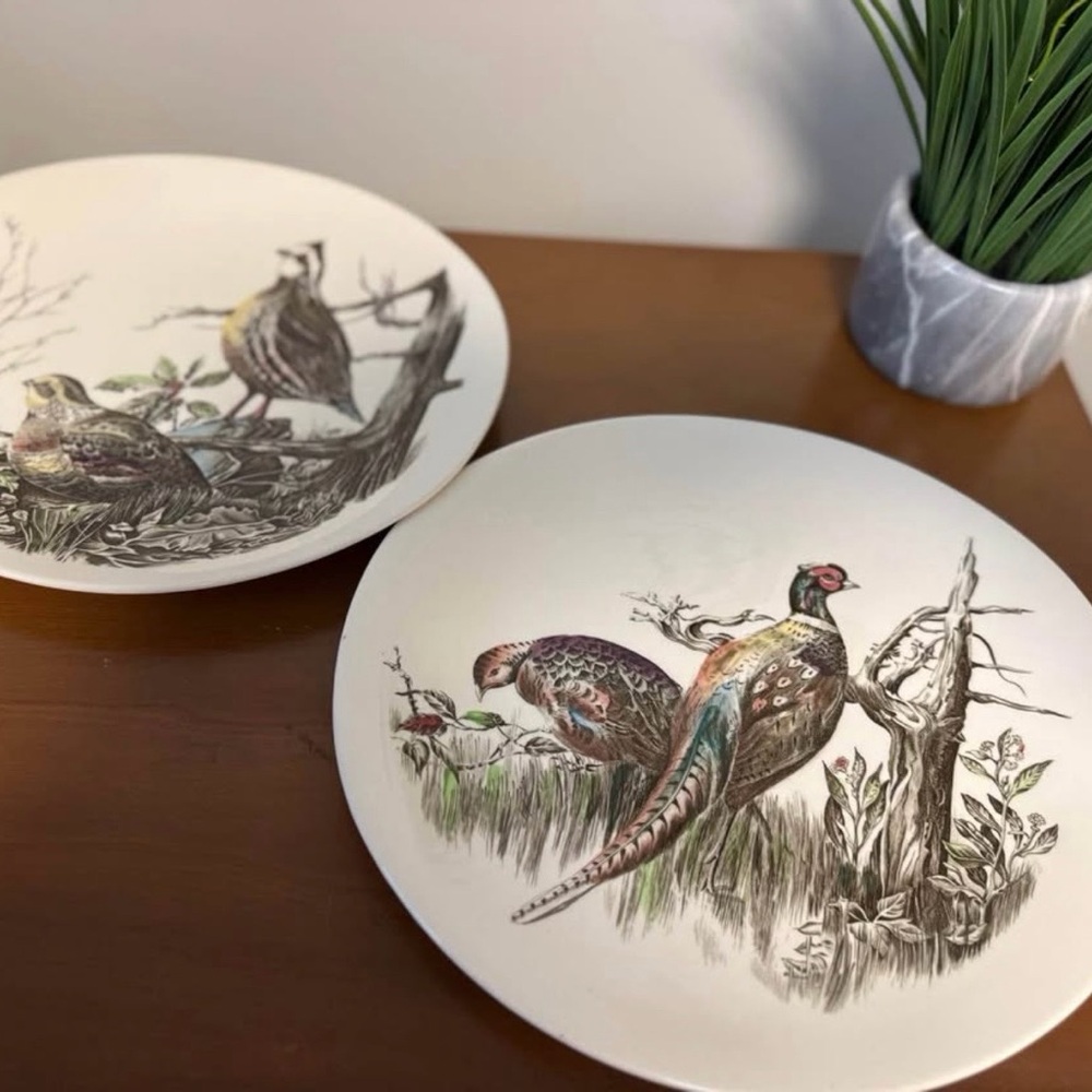 Vintage Mid Century Johnson Brothers Game Bird Platter Pheasant Quail Plates
